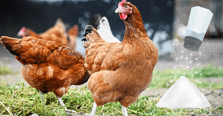 عوارض کمبود نمک در طیور